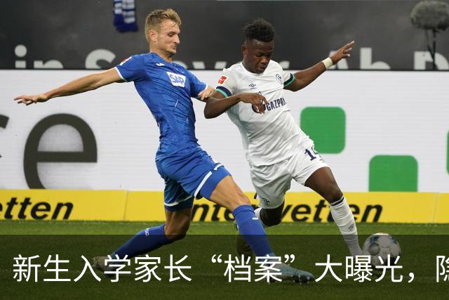 新生入学家长“档案”大曝光，隐私泄露真让人哭笑不得